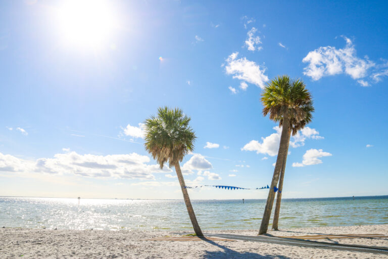 Ben T. Davis beach with sand, two palm trees, and the Gulf of Mexico on a clear day
